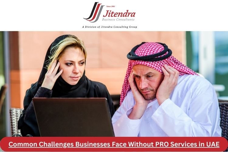 Common Challenges Businesses Face Without PRO Services in UAE