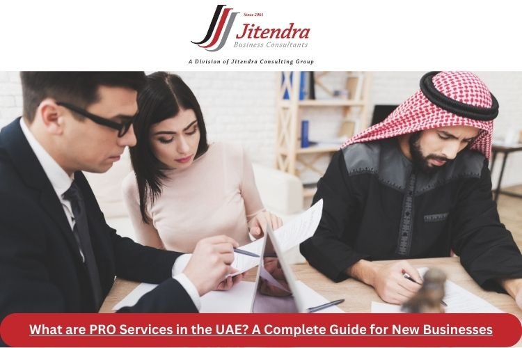 What are PRO Services in the UAE? A Complete Guide for New Businesses